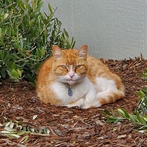 Meet your Posher, Haely